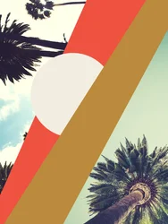 Sole di Los Angeles