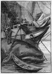 Romanzo di Jules Verne «Les histoires de Jean-Marie Cabidoulin» (1901), Collezione Hetzel/Extraordinaires, illustrazione di George Roux. «Balena ormeggiata a una baleniera»