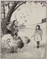 Scatola magica di farfalle