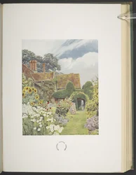 Cleeve Prior, Girasoli, illustrazione in 
