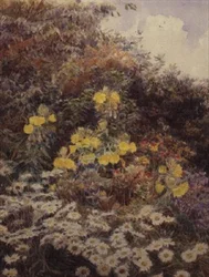 Primule della sera, Swinford Manor