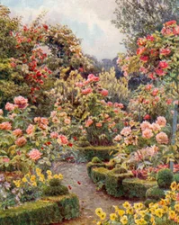Dappertutto rose, rose" (litografia a colori)
