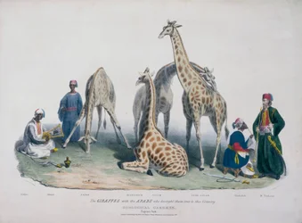 Giardini zoologici, Regent