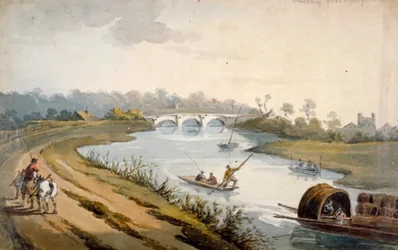 Fiume Tamigi vicino a Chertsey, Surrey