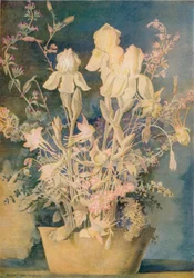 Dipinto di fiori di George Sheringham, c1910-1920, 1936