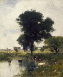 Bovini nella Pozza (Un Paesaggio Estivo)