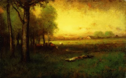 Mucche al pascolo al tramonto