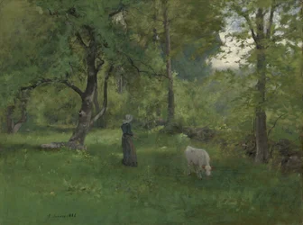 Paesaggio verde