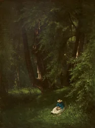 Nel bosco