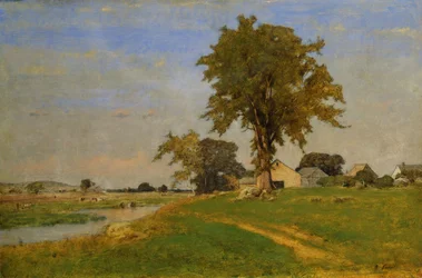 Vecchio olmo a Medfield, 1860