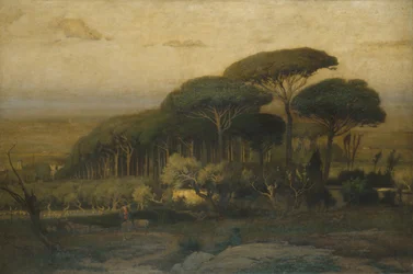 Boschetto di pini della Villa Barberini