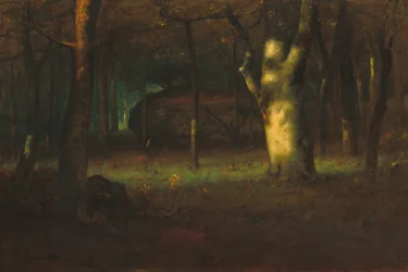 Tramonto nel bosco, 1891