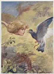Alice con un collo lungo, spaventando un piccione