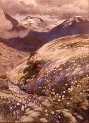 Fiori Alpini