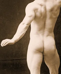 Eugen Sandow, in posa classica greco-romana (dettaglio)