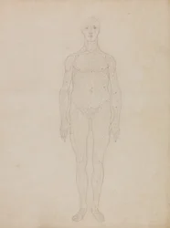 Esposizione anatomica comparata della struttura del corpo umano con quella di una tigre e di un uccello comune: Studio della figura umana, vista anteriore (probabilmente correlato alla Tavola XI)