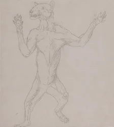 Esposizione anatomica comparata della struttura del corpo umano con quella di una tigre e di un uccello comune:  Corpo della tigre, in piedi in posizione umana
