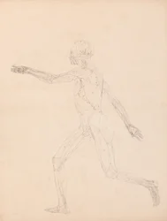 Esposizione anatomica comparata della struttura del corpo umano con quella di una tigre e di un uccello comune: Figura umana, vista laterale (Per la figura chiave della Tabella XIII)