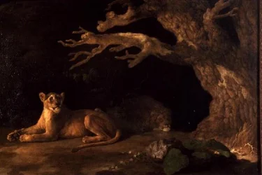 Un leone e una leonessa