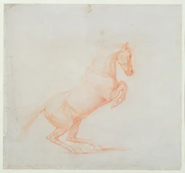 Un cavallo impennato, rivolto a destra, 1790