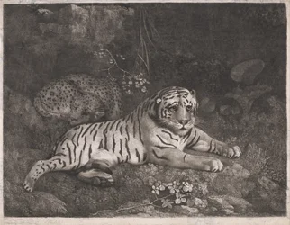 Una tigre e un leopardo addormentato