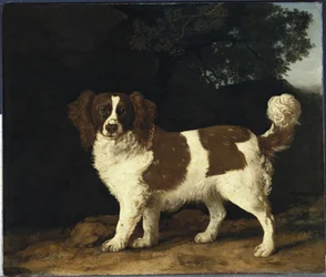 Fanny, il cane preferito della signora Musters, in piedi in un paesaggio boscoso