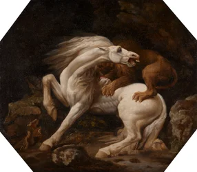 Cavallo attaccato da un leone (Episodio C)