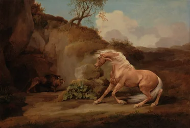 Cavallo spaventato da un leone