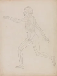 Figura umana, vista laterale