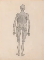 Figura umana, vista posteriore (studio finito per una tavola non pubblicata)