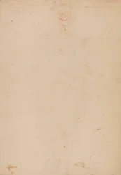 Scheletro umano, vista anteriore