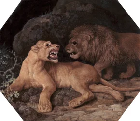 Leone e leonessa