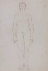 Studio della figura umana, vista anteriore (disegno di contorno per la tavola VI)