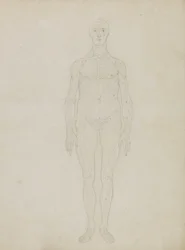 Studio della Figura Umana, Vista Anteriore, da 