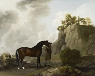 Lo stallone arabo del Marchese di Rockingham (guidato da uno stalliere a Creswell Crags)