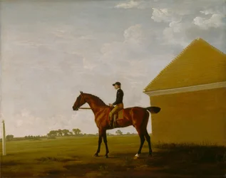Turf, con fantino alzato, a Newmarket