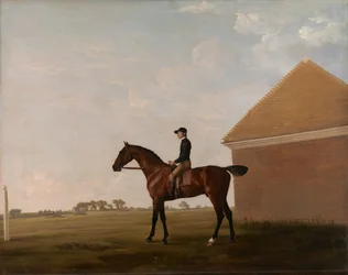 Turf, con fantino a Newmarket
