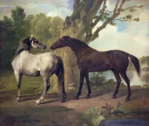 Due cavalli in un paesaggio