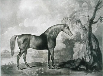Maschera di cavallo marrone, dopo George Stubbs
