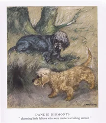 Dandie Dimonts (litografia a colori)