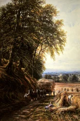 Tempo di Raccolto