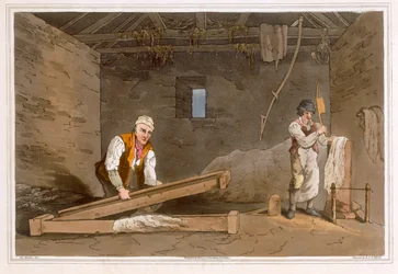 Line Swinglers inciso da Robert Havell il Vecchio, pubblicato 1814 da Robinson e Son, Leeds