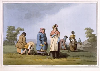 Lowkers, inciso da Robert Havell il Vecchio, pubblicato nel 1814 da Robinson e Son, Leeds