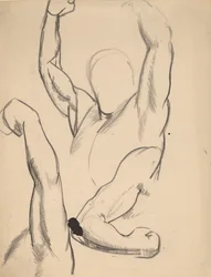 Braccia di un pugile, 1916