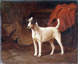 Un Jack Russell in posa in una selleria