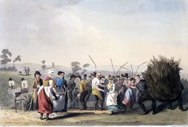 Trebbiatura del Rape, da The Costume of Yorkshire inciso da Robert Havell (1769-1832) 1814
