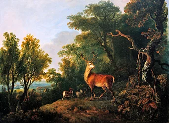 Un cervo e tre cerve in un paesaggio boschivo