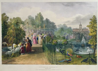La Voliera ai Giardini Zoologici, Regents Park, incisa e pub. dall