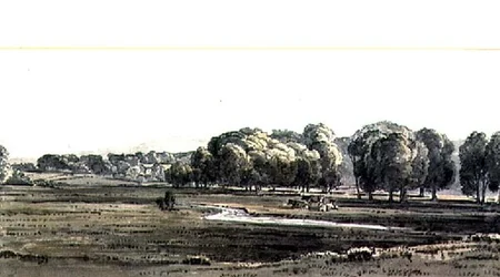 Paesaggio con prato e ruscello