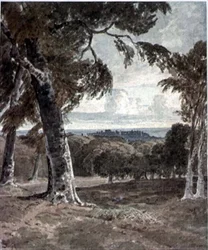 Parco di Windsor, con il castello in lontananza